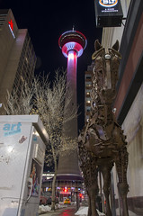 Calgary_Nights