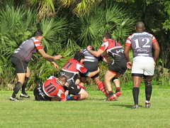 Crescent City Rougaroux Rugby