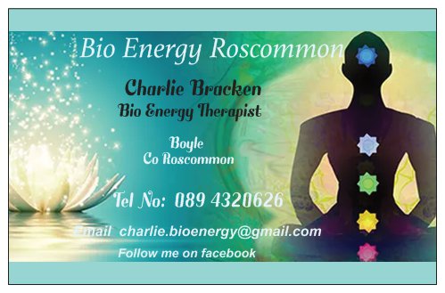 Charlie Bracken - bio energy business card