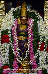 2018 - Ramanavami Celebrations