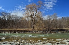 Humber River, Late Winter, 2018