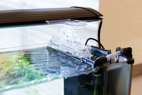 Finnex Planted+ 24/7 SE mount on glass rim aquarium