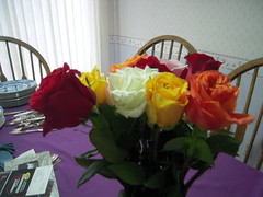 Birthday Roses