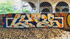 Graffiti Along Train Tracks