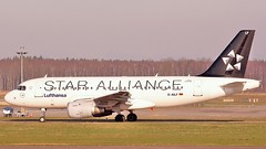 Aircraft: STAR ALLIANCE livery