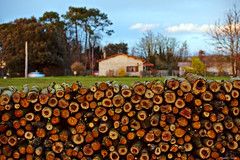 Wood bulwark