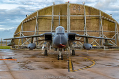 Tornado FINale, RAF Marham 25/01/19