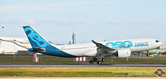 A330-800Neo