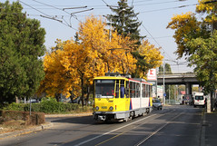 Trams in Ploiesti