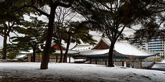Winter in Korea (2018-19)