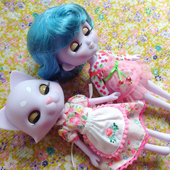 Odeco-chan and Nikki cat