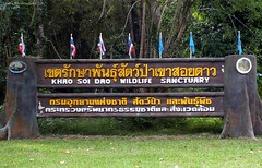 Khao Soi Dao N.P. Chanthaburi Thailand