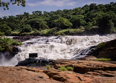 2018 Uganda,Murchinson Falls