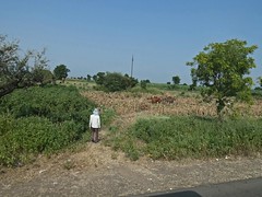 Inde - Route Maheshwar à Mandu