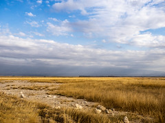 2018,Kenia, Ambroseli National Park