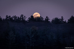 Parry Sound, Ontario - Lunar Eclipse 2019