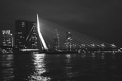 Rotterdam 2019