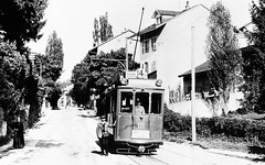 Trams de Genève ligne 14 (ligne disparue)
