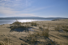 The Dunes along the West Michigan Shoreline