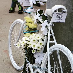 World Day Remembrance: Bicycle + Pedestrian Deaths