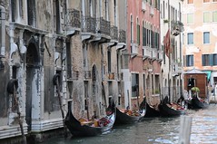 ITALIA: Venezia