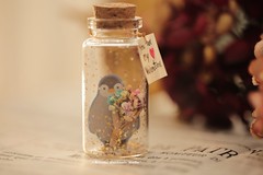 handmade penguin decor, Tiny message in a bottle,Personalised Gift,love,Valentine Card,Gift for her/him,Girlfriend gift, birthday card, holiday card and funny card ideas
