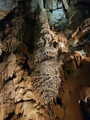 Grotte de Clamouse_160820