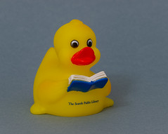 SPL Rubber Duck, Seattle Public Library