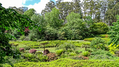 National Rhododendron Gardens, Olinda, Victoria, Australia