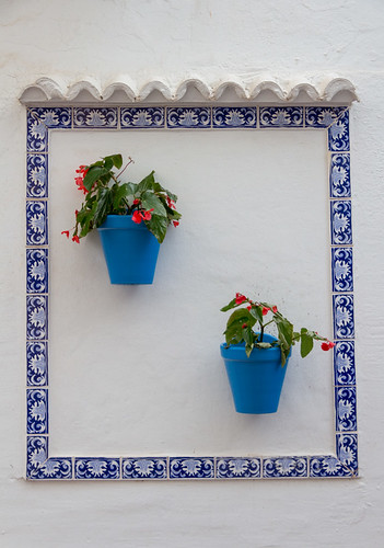 potted plants in Marbella