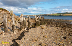 Storehouse Cafe and shoreline at Cromarty Firth, Scotland. UK