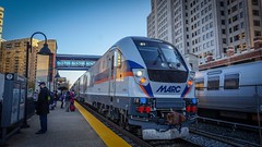MTA Maryland MARC Commuter Rail Siemens Charger SC-44 #81