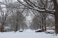 January 12, 2019 Snowstorm in Homer Illinois