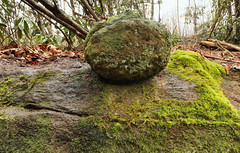 Prehistoric, Archaic Stone Bowl Industry