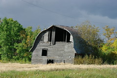 The Barn On 250