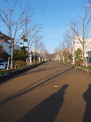 20190115 鎌倉八幡宮