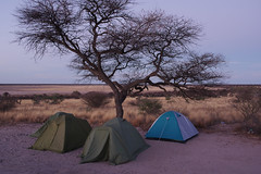 Botswana - Kalahari