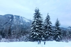 Winter Wonderland at Snoqualmie Pass