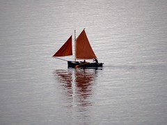 Tanbark sails