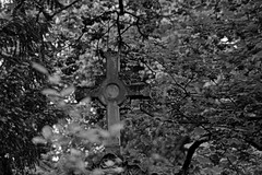 Bonn Alter Friedhof