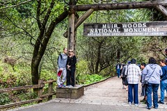 Tour of Muir Woods 2017_03_16