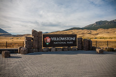 Yellowstone / Grand Tetons