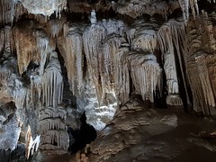 Grotte de Clamouse_155005