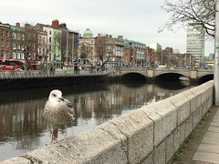 Dublin December 2018