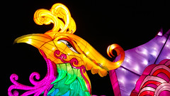 dragon lights albuquerque