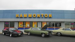 6th Annual Hammonton, NJ NAPA Car Show