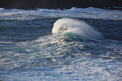 Cape Spear November Waves