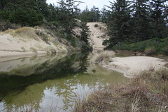 Tahkenitch Dunes and Creek