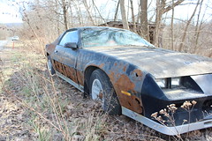 Abandoned 1986 Camaro