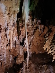 Grotte de Clamouse_153023